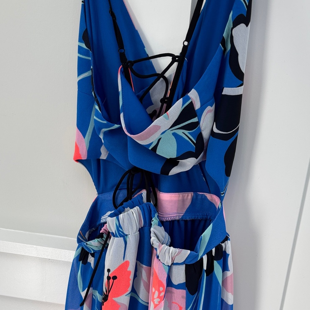Express Floral Maxi Dress - Blue and Pink - Picture 4 of 4